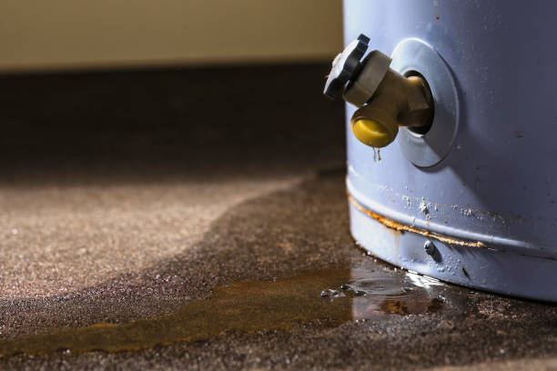 Best Water damage contractors near me  in Coweta, OK