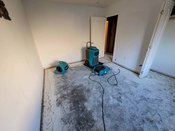 Local water damage restoration in OK