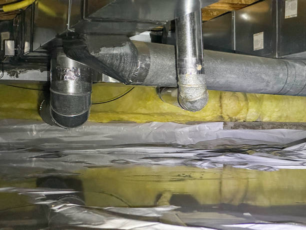 Best Basement water damage restoration  in Coweta, OK