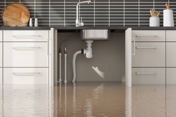 Best Ceiling water damage repair  in Coweta, OK