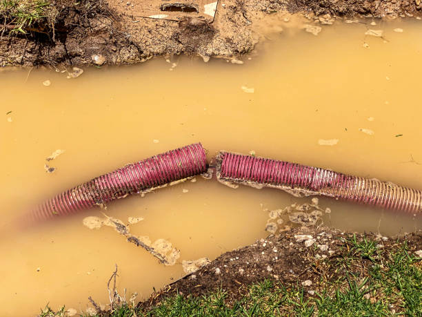 Best 24/7 water damage repair  in Coweta, OK
