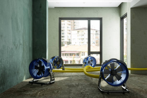 Best Water damage restoration near me  in Coweta, OK